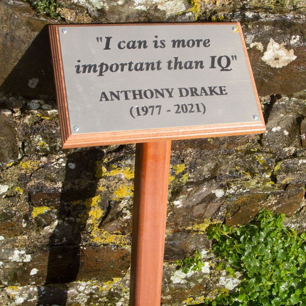 Angled Wooden Posts for Backing Boards