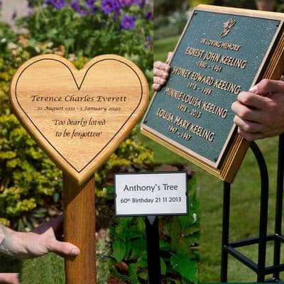 Backing Boards and Tree Stakes