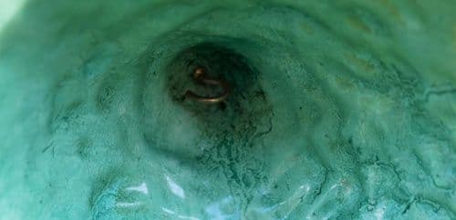 Resin Bird Feeder Protector | The Sign Maker Shop