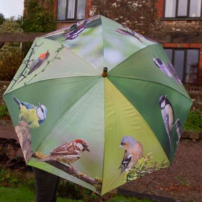 British Birds Umbrella