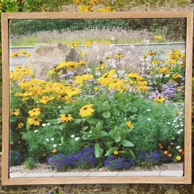 Canvas Prints with Oak Surround