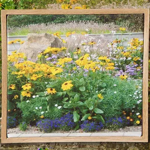 Online Sign Maker | Canvas Prints with Oak Surround