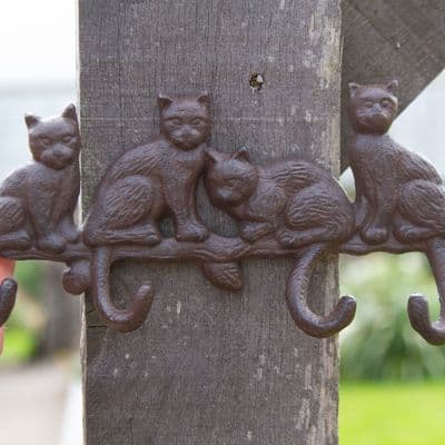 Cats Tails Hooks