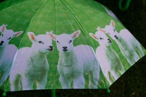 Farm Print Kids Umbrella | The Sign Maker Shop
