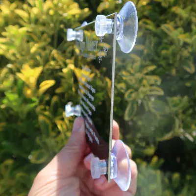 Clear Suction Cups for Engraved Plaques