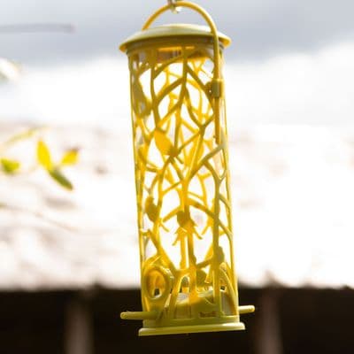 Decorated Seed Feeder with Perch