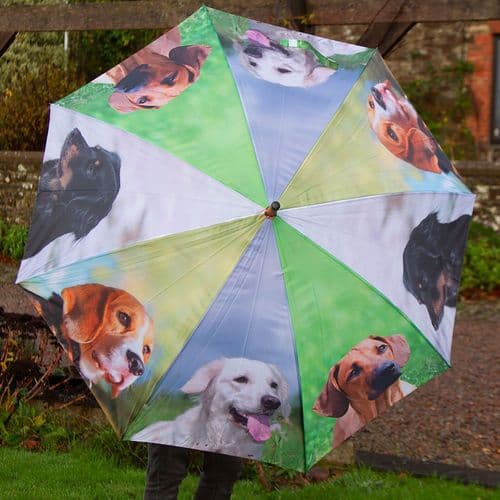 Dog Print Umbrella | The Sign Maker Shop
