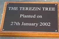 Black Engraved Plaques with Backing Board | The Sign Maker Shop