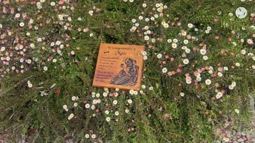 Engraved Iroko Wooden Memorial Plaque   | The Sign Maker Shop