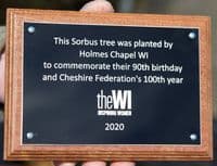 Engraved Plaque - Low Maintenance | The Sign Maker Shop