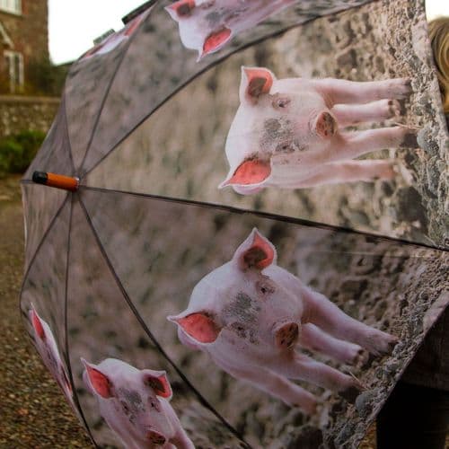 Farm Animal Print Umbrella | The Sign Maker Shop
