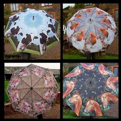 Farm Animal Umbrellas