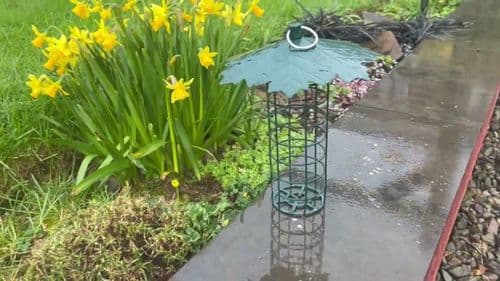 Fat Ball Feeder with Leaf Roof | The Sign Maker Shop