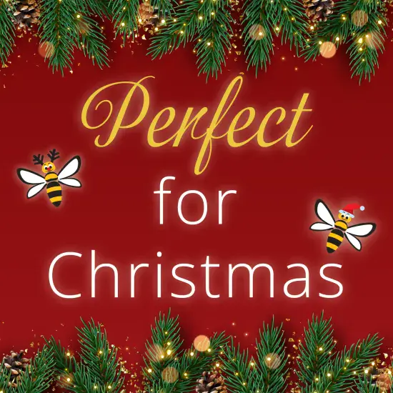 Great Gifts For Christmas