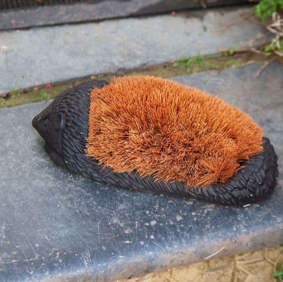 Hedgehog Boot Brush | The Sign Maker Shop
