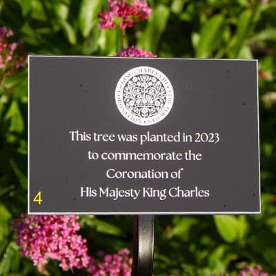 King Charles Coronation Plaque with Wrought Iron Tree Stake
