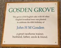 Large 2mm Thick Brass Plaque | The Sign Maker Shop