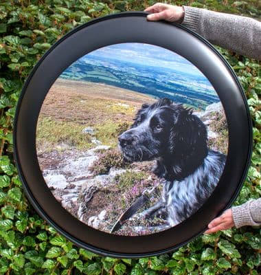 Matt Black Wheel Cover with Full Colour Print
