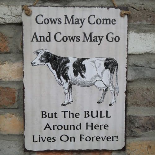 Metal Cows Sign