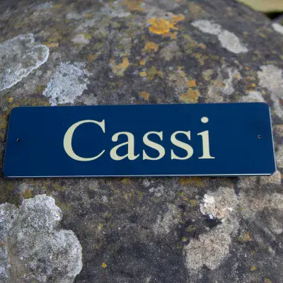 Metal Stable Name Plate -  ToughPrint