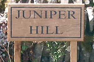 Pair of 24" Oak or Iroko Pegs