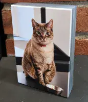Freestanding Slate Pet Portraits – Indoor & Outdoor | The Sign Maker