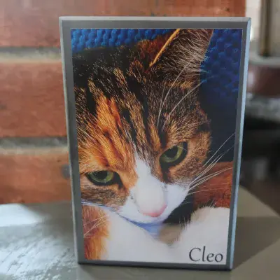 Personalised Freestanding Slate Pet Portraits