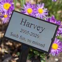 Online Sign Maker | Plant Stakes, Grave Markers & Tree Stakes