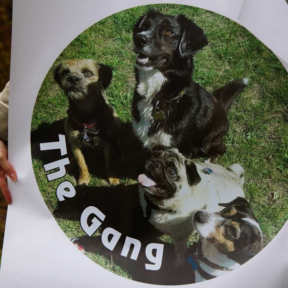 Printed Wheel Cover Sticker