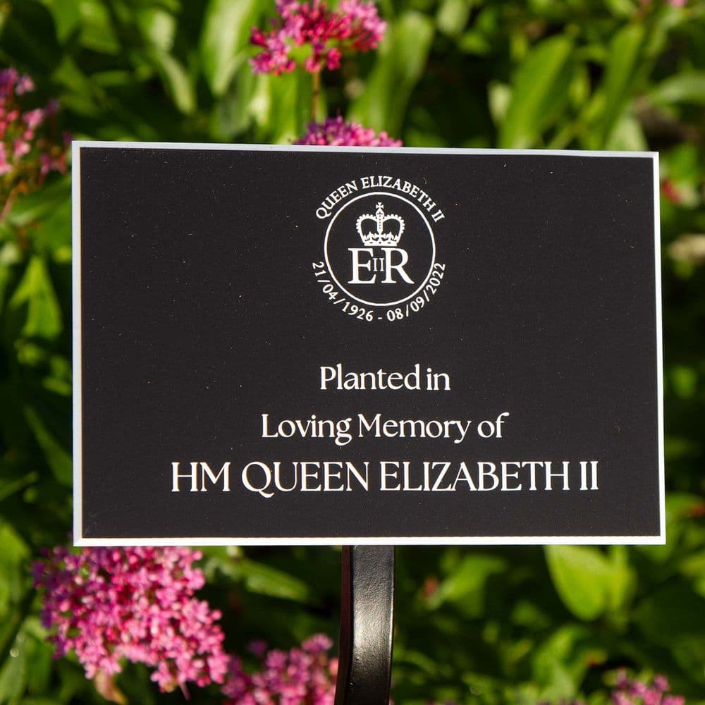 Queen Elizabeth II Loving Memory Plaque for Tree Planting fixed to Wrought Iron Stake