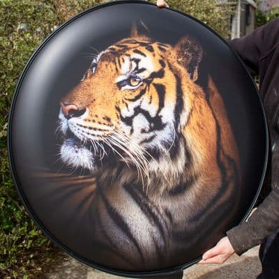 Tiger Wheel Cover