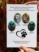 Printed Metal Memorials - Colour Photographs | The Sign Maker