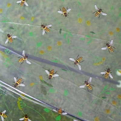 Transparent Bee Umbrella