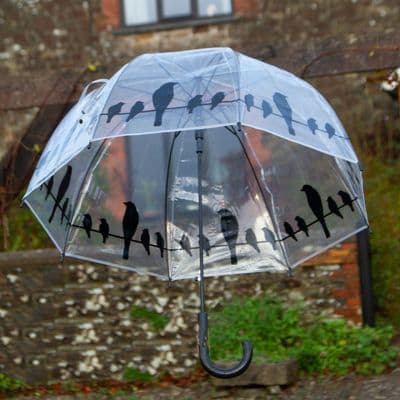 Transparent Bird Umbrella