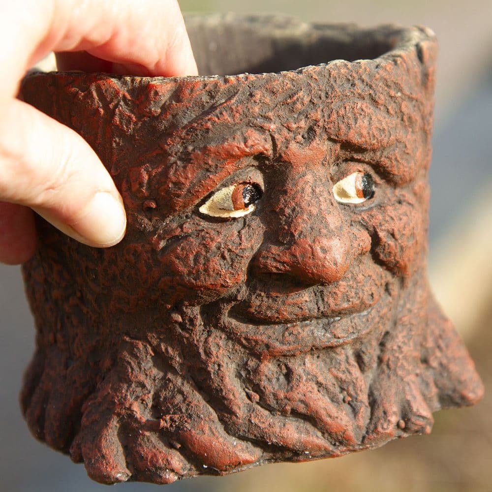 Tree Stump Flower Pot