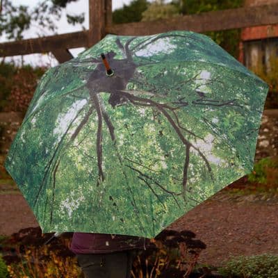 Tree Umbrella