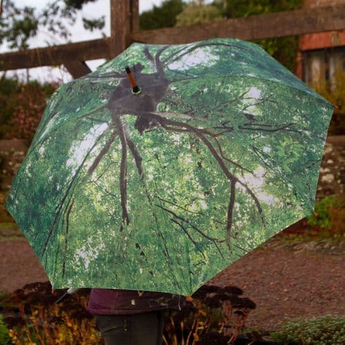 Kitten Print Umbrella