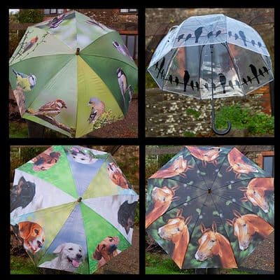 Umbrellas