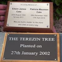 Wooden Backing Boards - Iroko & Sapele | The Sign Maker Shop