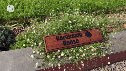 Durable Iroko Hardwood House Signs  | The Sign Maker Shop