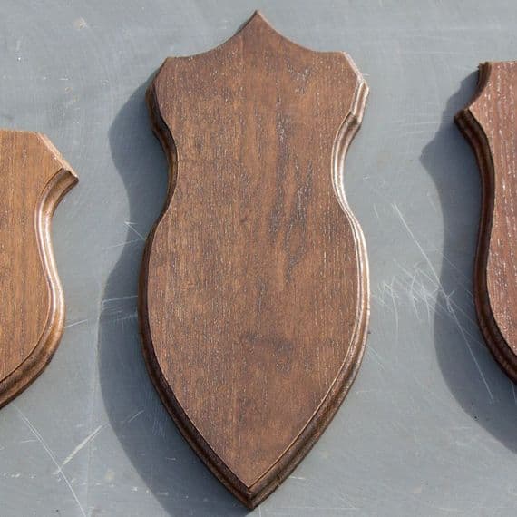 Wooden Slot for Taxidermy  Trophies  | The Sign Maker Shop