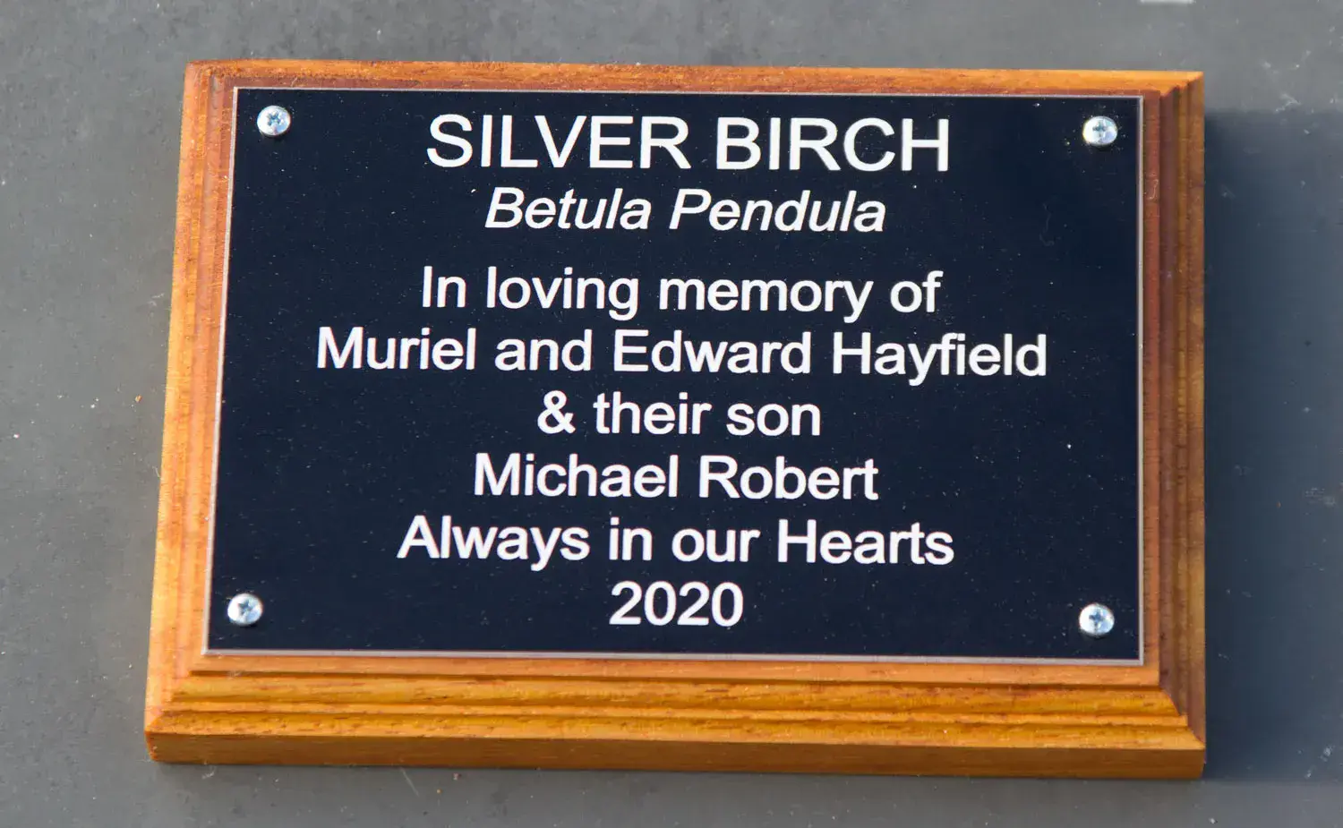 Engraved plaque with backing board.