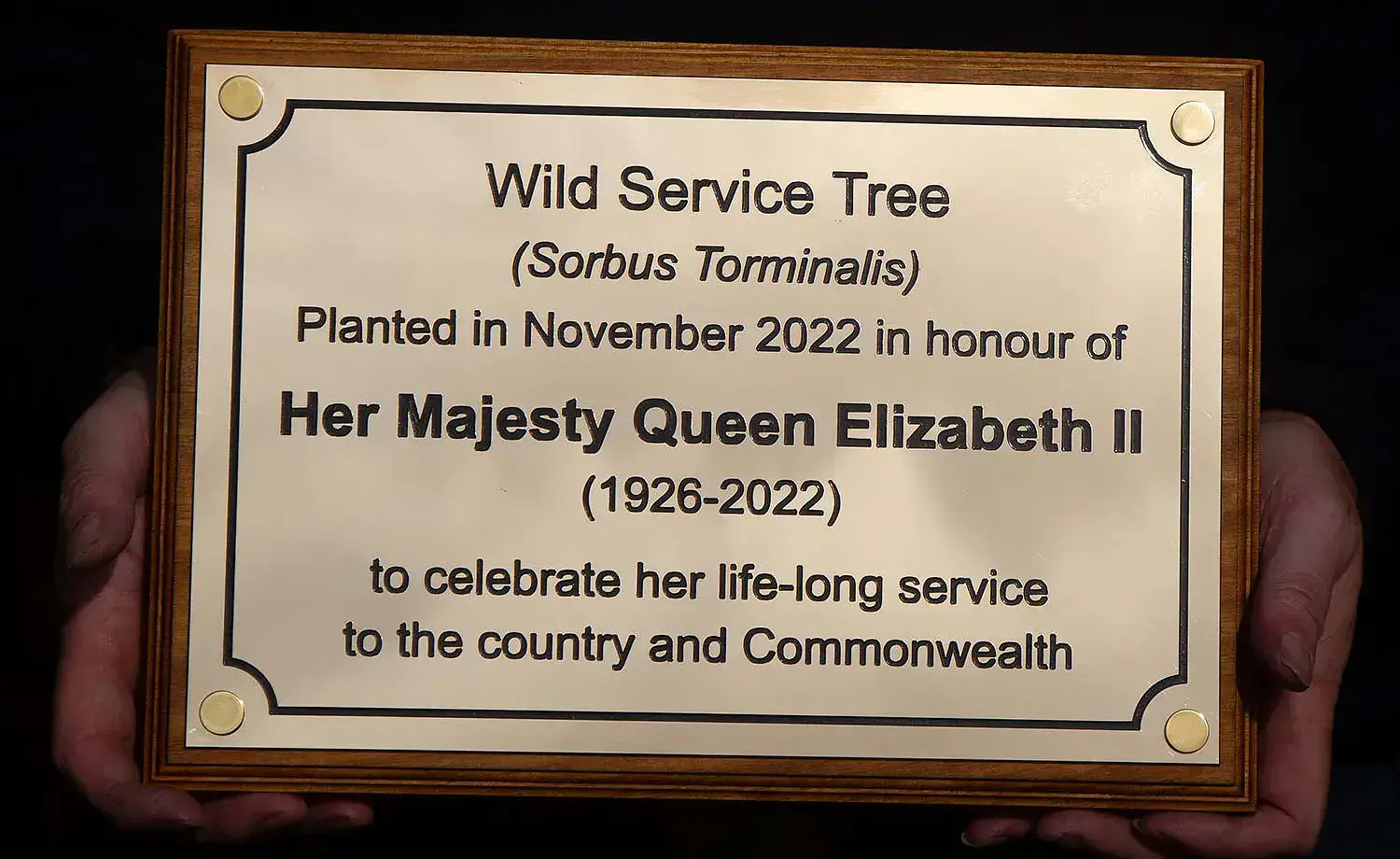 Good Value Brass Plaque