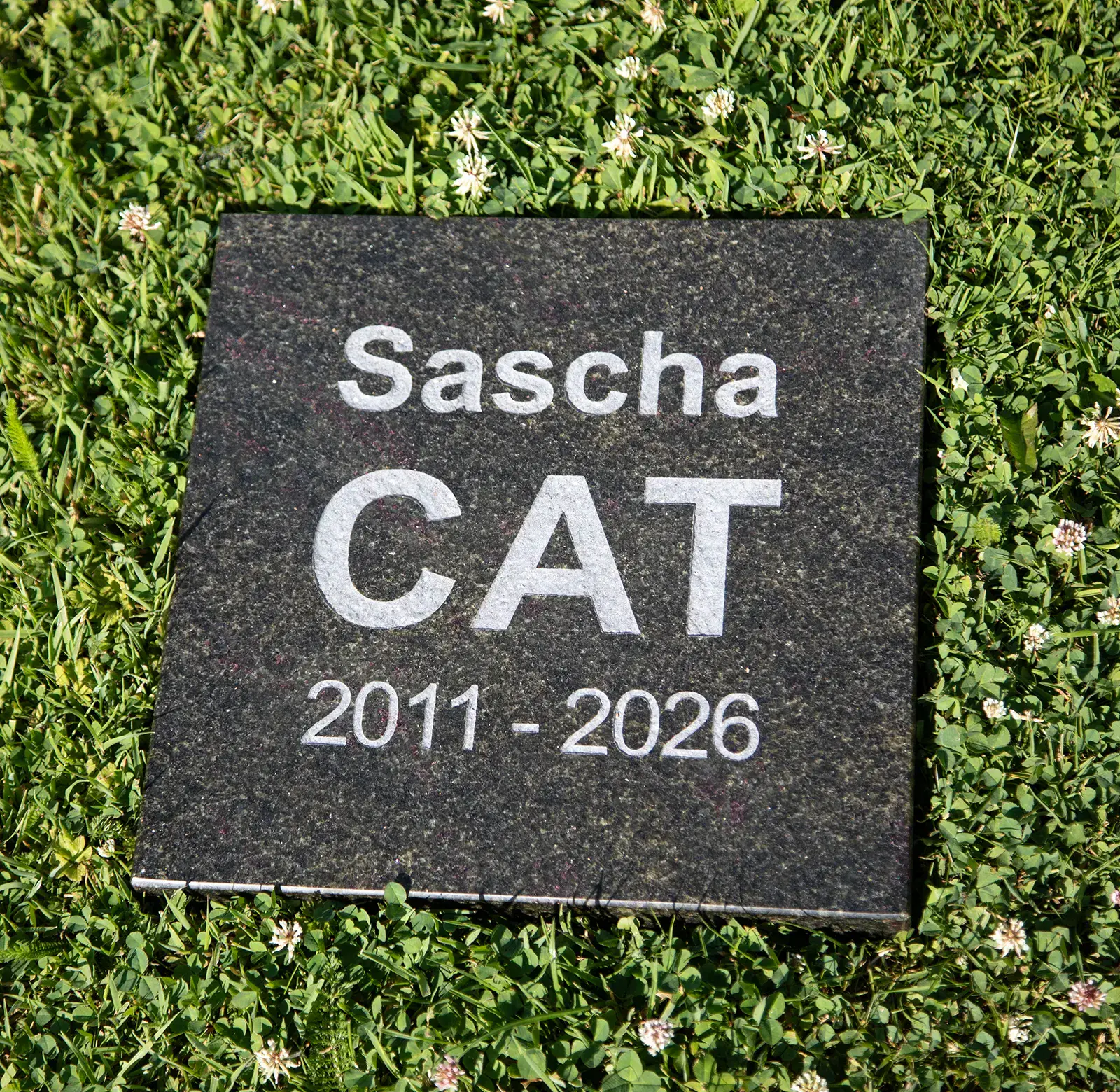Unpainted Cat Memorial Tablet.