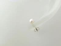 Sterling Silver Stud Earrings With Premium Cream Pearls | Simple Easy Wear Studs | Silver Sensations