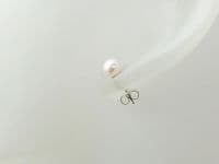 Sterling Silver Stud Earrings With Premium Cream Pearls | Simple Easy Wear Studs | Silver Sensations