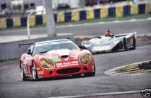 Callaway Corvette 1995 Le Mans 24 Hrs (b)