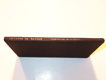 DRIVERS IN ACTION. Klemantaski & Frostick (1955) (no jacket)