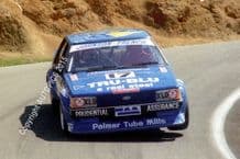 FORD FALCON Dick Johnson / John French Bathurst 1981 (winner)