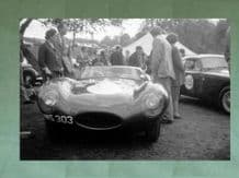 JAGUAR D Type JWS 303 ex Ecosse paddock at Prescott late 50s .10x7"am' photo